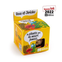 LES EXTRAORDINAIRES La...