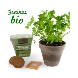 JE FAIS POUSSER Mon persil...