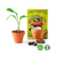 RADIS&CAPUCINE CARTE NATURE...