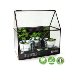 RADIS&CAPUCINE AB Mes...