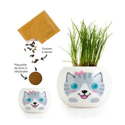 CHAT POUSSE Chat gris Kit...