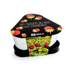 PLATEAU TRIO POTS ZINC Mes...