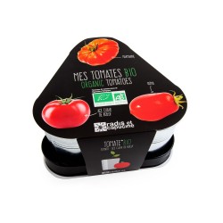 PLATEAU TRIO POTS ZINC Mes...