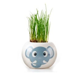 JUNGLE ADVENTURE Eléphant...