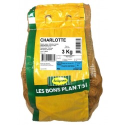 ACTIGERME Pomme de terre...