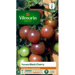 VILMORIN TOMATE Black...