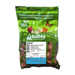 BULBÉO Échalote Longue...