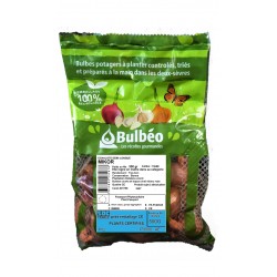 BULBÉO Échalote ½ longue...