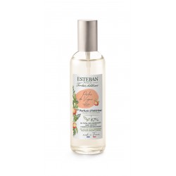 Parfum D'Intérieur Bleu...