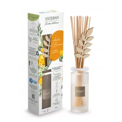 Bouquet Parfumé Initial...