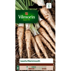 VILMORIN SALSIFIS Mammouth...