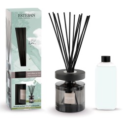 Bouquet Parfumé Ellipse...