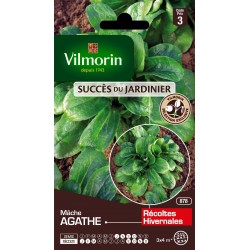 MÂCHE Agathe SACHET...