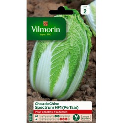 VILMORIN CHOU DE CHINE...