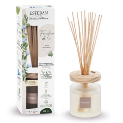 Bouquet Parfumé Ellipse...