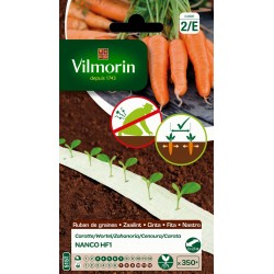 VILMORIN RUBAN DE...