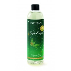 Recharge Bouquet Parfumé...