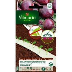 VILMORIN RUBAN DE...