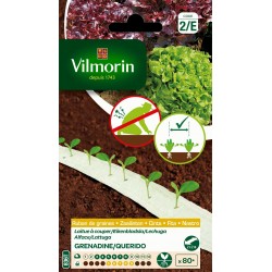 VILMORIN RUBAN DE...