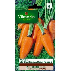 CAROTTE De chantenay a...