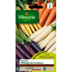 CAROTTE Mélange de couleurs...
