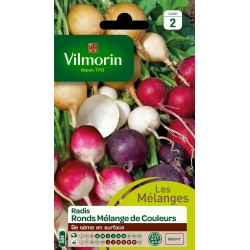 RADIS ronds Mélange de...