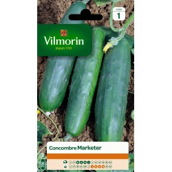 CONCOMBRE Marketer SACHET...