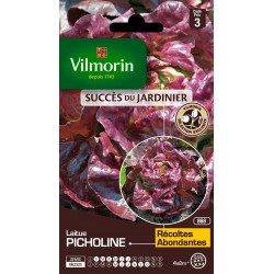 LAITUE Picholine SACHET...