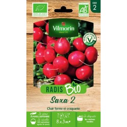 VILMORIN RADIS BIO Saxa 2...
