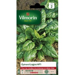 VILMORIN ÉPINARD Lagos Hf1...