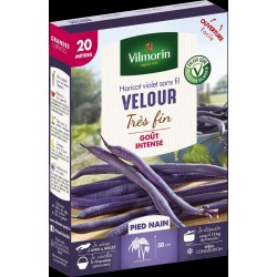 VILMORIN SÉLECTION-HARICOT...