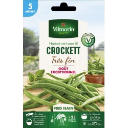 HARICOT vert très fin sans...