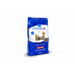 DEMAVIC DYNAMICATS...