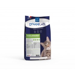 DEMAVIC DYNAMICATS...