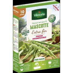 VILMORIN SÉLECTION-HARICOT...