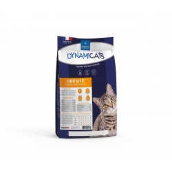 DEMAVIC DYNAMICATS...