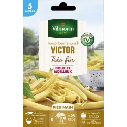 VILMORIN SÉLECTION-HARICOT...