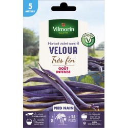 VILMORIN SÉLECTION-HARICOT...