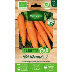 CAROTTE Berlikumer 2 AB...