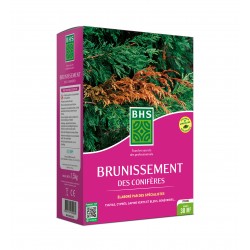 BHS BRUNISSEMENT DES...