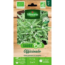 SAUGE Officinale AB SACHET...