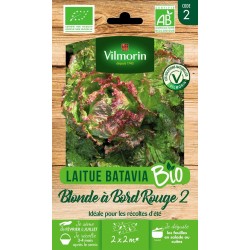 VILMORIN LAITUE BIO BATAVIA...