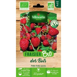 FRAISIER Des bois AB SACHET...