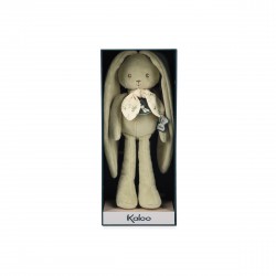 Pantin Lapin Vert...