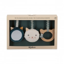 Set D'Accessoires...