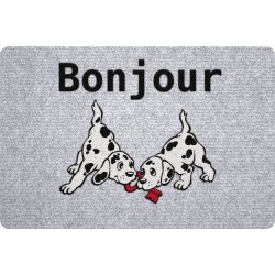 Paillasson Grey'Flock...