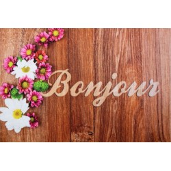 Tapis Boston Bonjour Fleurs...
