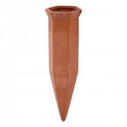 Cone D'Arrosage