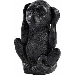 Singe pm 'je n ai rien...