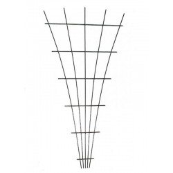 Treillis eventail...